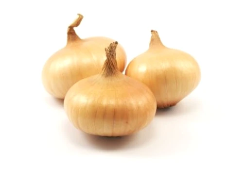 1 2 jpg jpeg