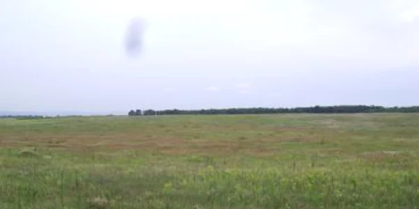 Turnu Severin: Fondul forestier al județului va crește cu aproape 2.000 de hectare