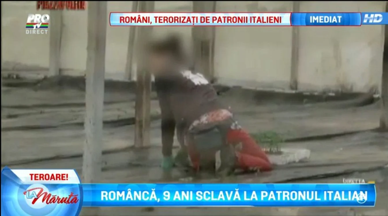 Româncele muncesc în fermele din Sicilia