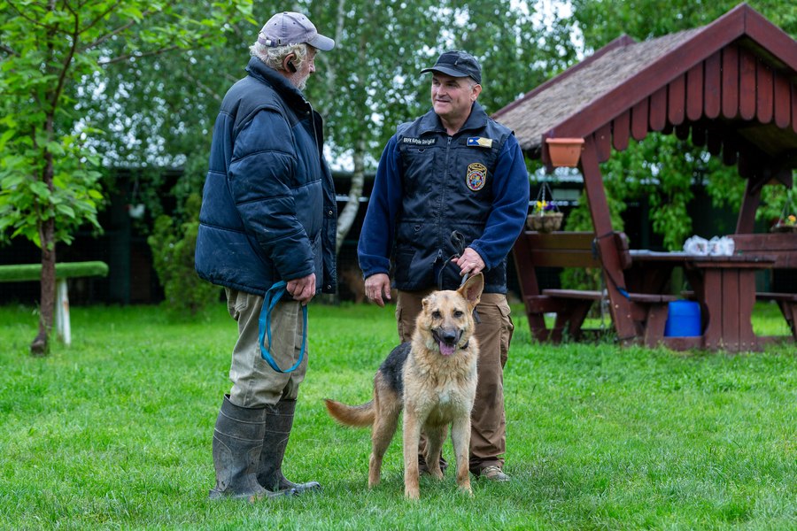 Povestea teribilă a unui câine grav rănit în bombardamentele din Harkov. Noua misiune a lui Rambo