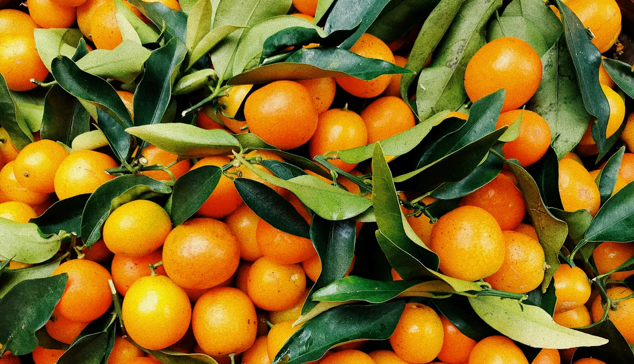 Portocalele sunt foarte bune pentru organism / foto: Pexels