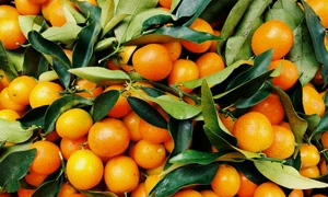 portocale pexels jpg