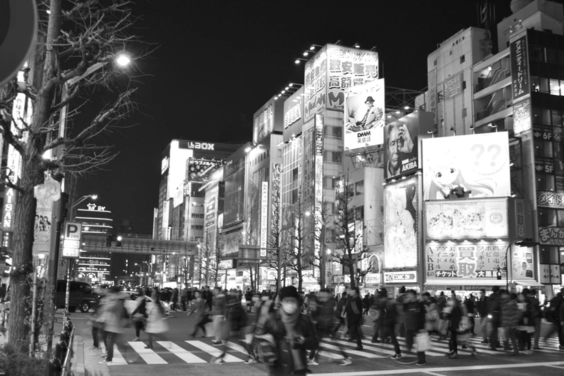 Japonia, un thriller cu flori de cireş jpeg