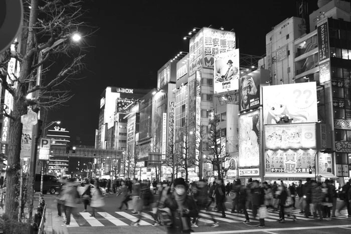 Japonia, un thriller cu flori de cireş jpeg