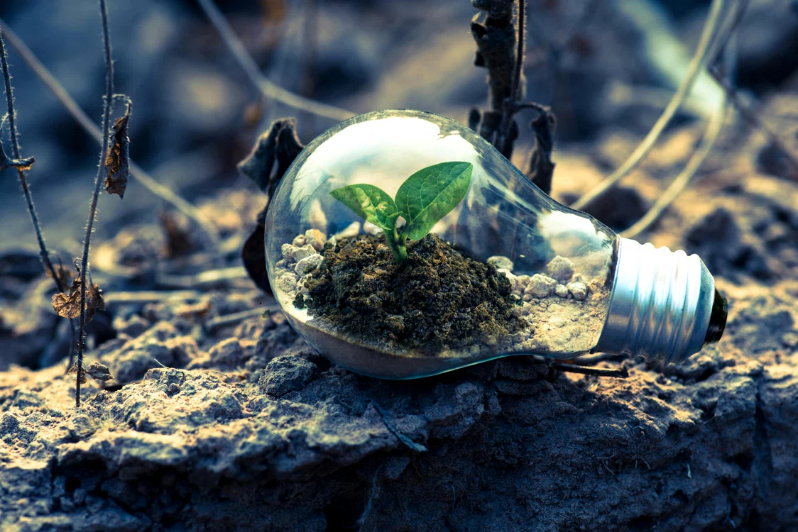 Planeta este sufocată din cauza poluării. FOTO: Pexels