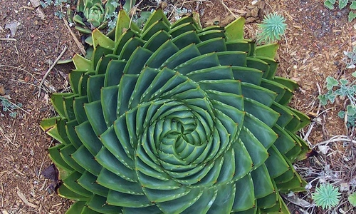 1 68925 original jpg jpeg