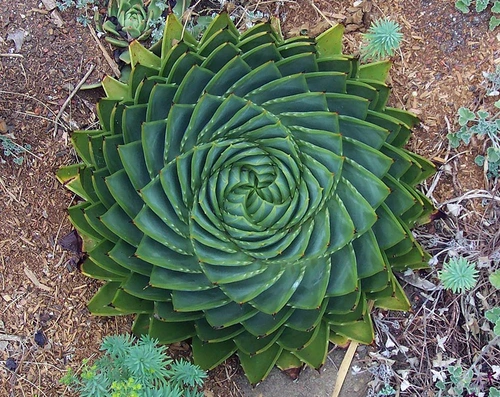 1 68925 original jpg jpeg