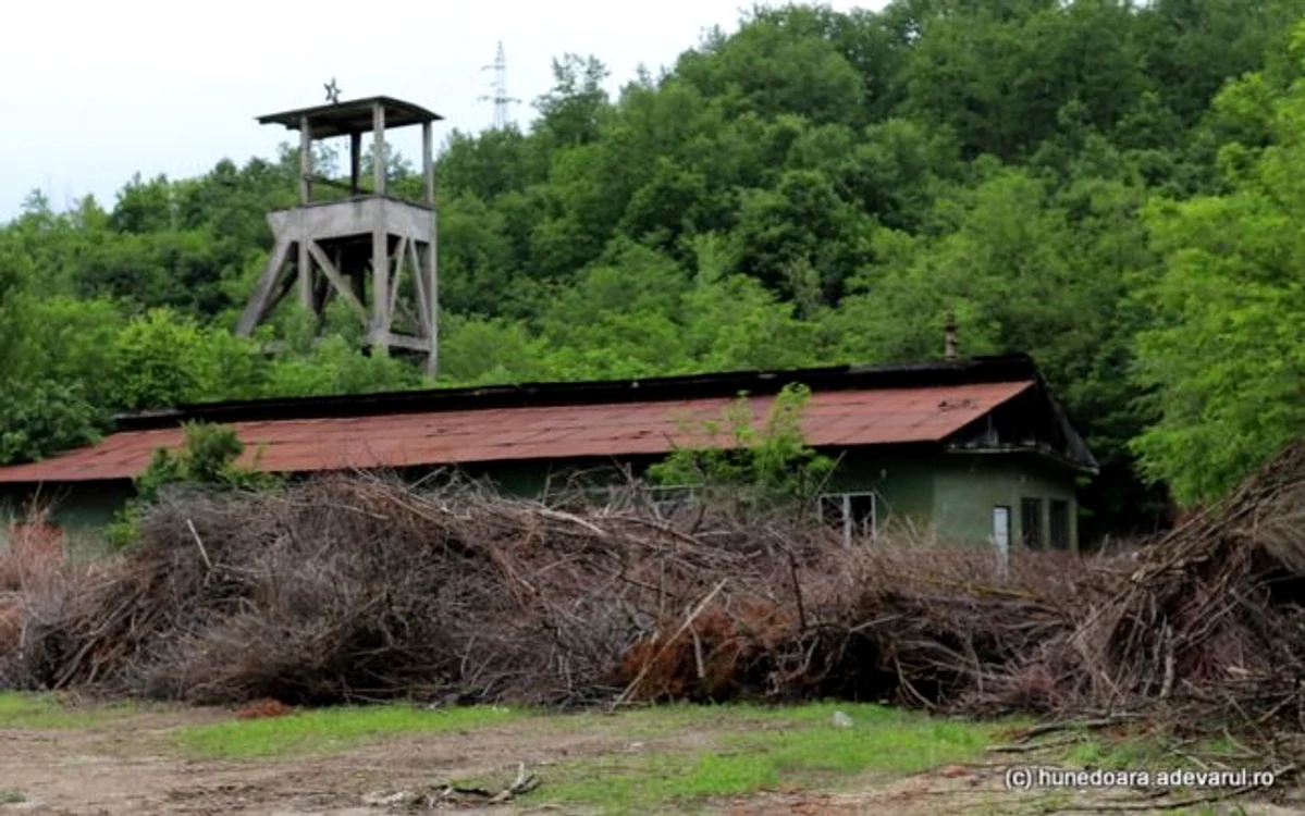 Ruine ale Minei de Est - Teliuc.
