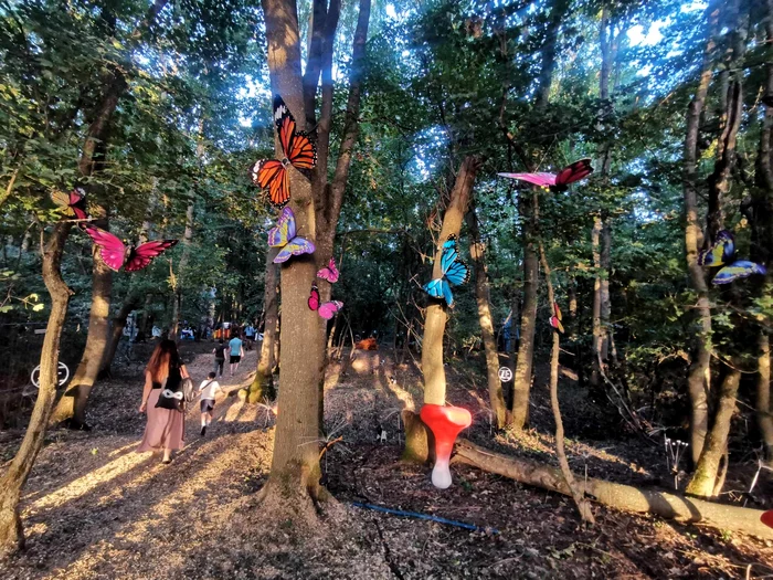 Codru Festival în Pădurea Bistra FOTO Ștefan Both