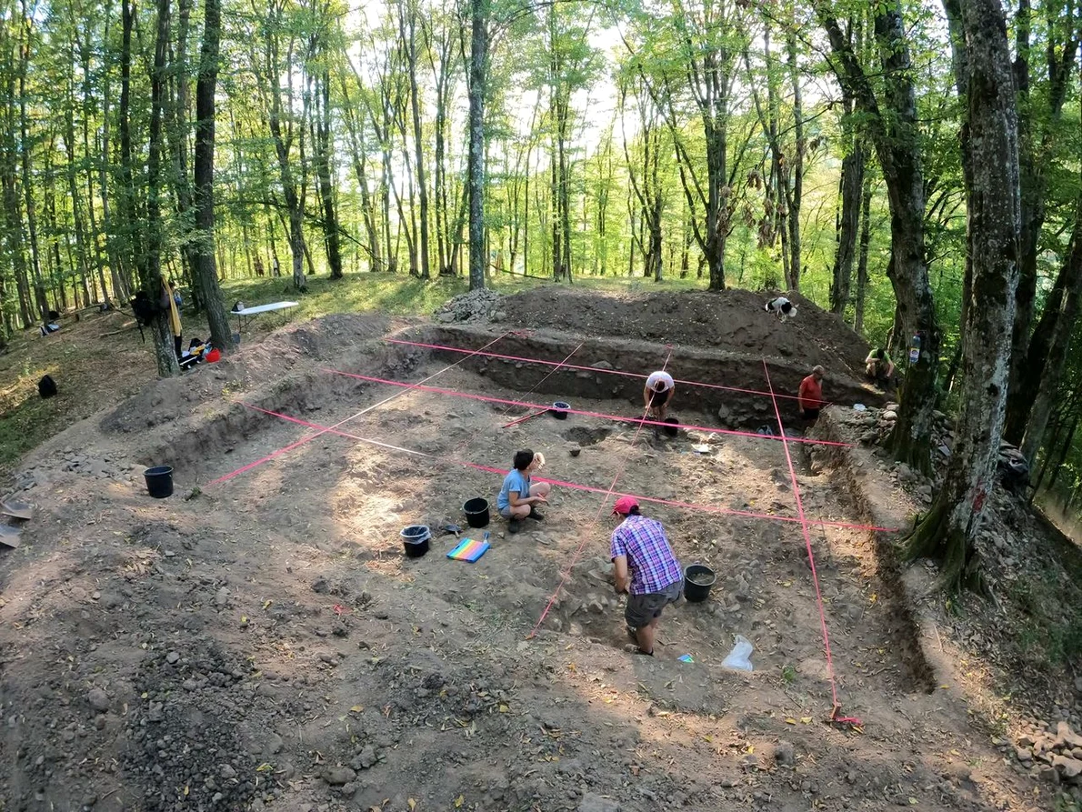 Cercetări arheologice în situl de epoca fierului de la Crivina-Leopoldsberg 