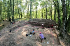 Cercetări arheologice în situl de epoca fierului de la Crivina-Leopoldsberg 