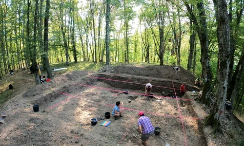 Cercetări arheologice în situl de epoca fierului de la Crivina-Leopoldsberg 