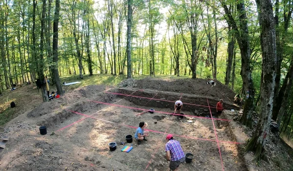 Cercetări arheologice în situl de epoca fierului de la Crivina-Leopoldsberg
