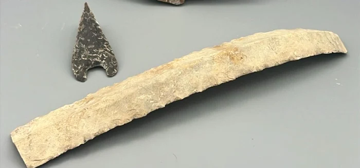 Foto: © Universidad de Cádiz