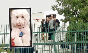 cine5 act bp9h2618 jpeg