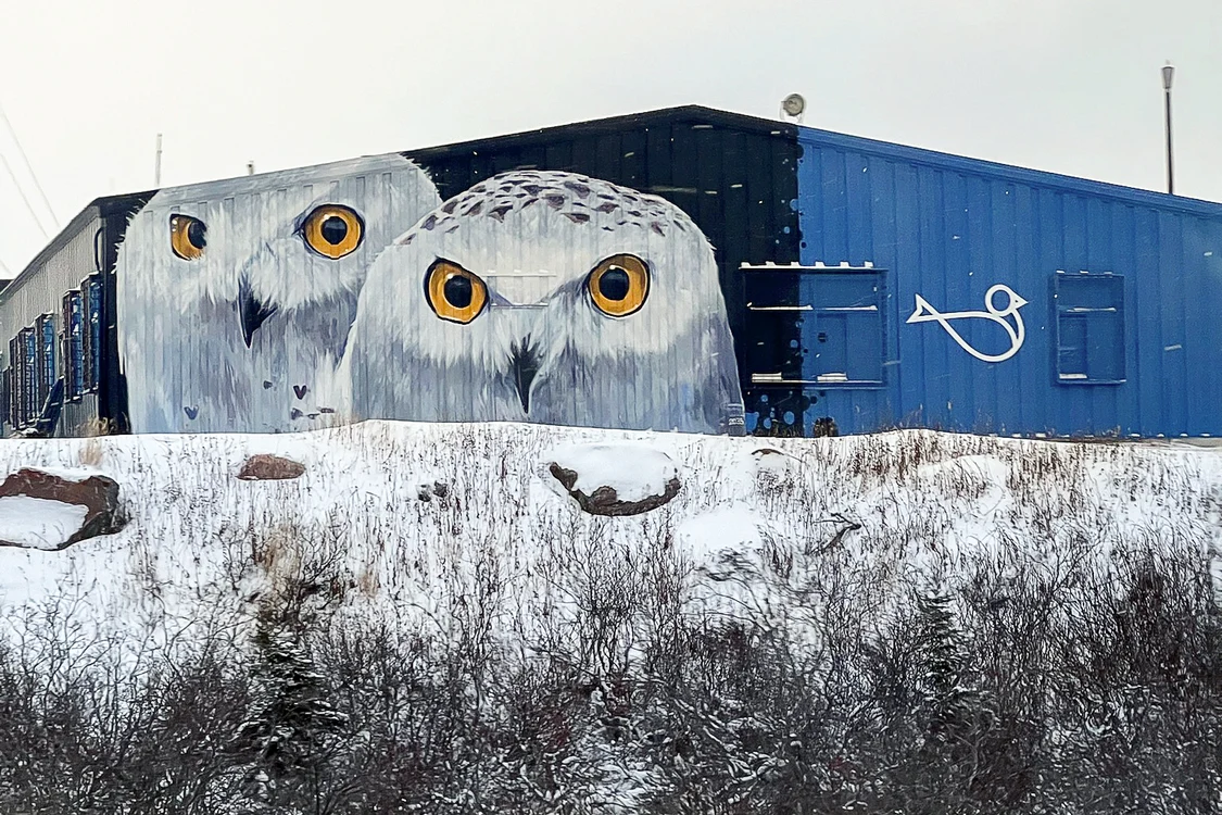 Un oraș plin de graffiti. FOTO: Rareș Beșliu