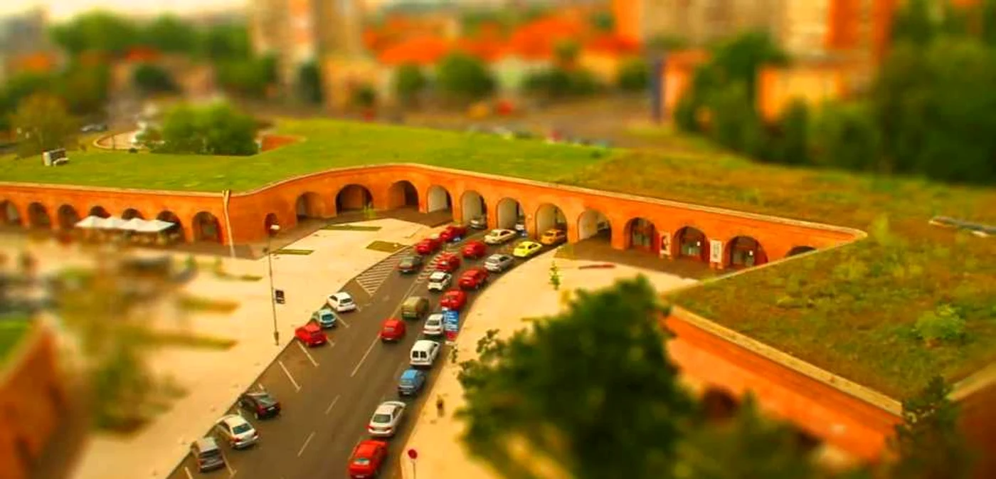 Imagine din clipul realizat de tânărul bănăţean. FOTO: captură video