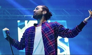 smiley anaf datorie jpeg