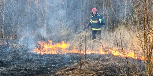 incendiu in vrancea