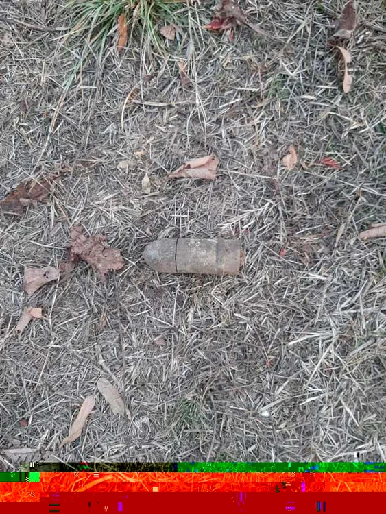 FOTO ISU Mehedinţi