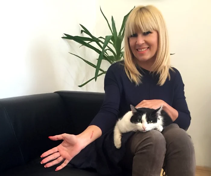 Pisica războinică s-a transformat brusc în pisica lingușitoarefoto: arhiva personală