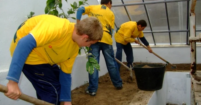 Diplome pentru voluntarii tulceni
