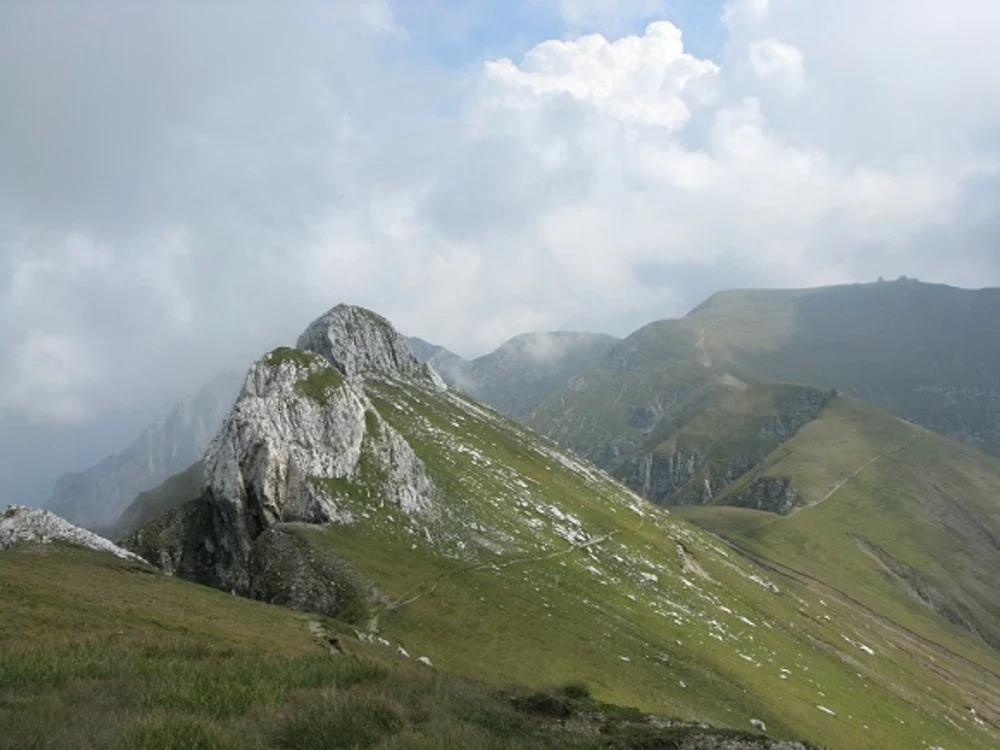 Varful Omu