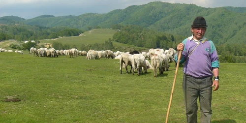 Crescătorii de animale vor merge mai aproape de casă pantru plăţile compensatorii