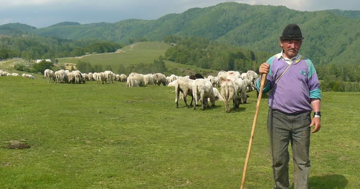 Crescătorii de animale vor merge mai aproape de casă pantru plăţile compensatorii