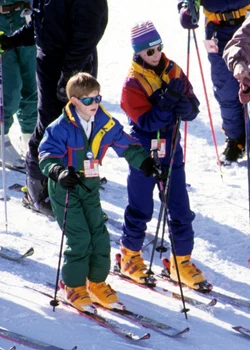 Harry și William la schi