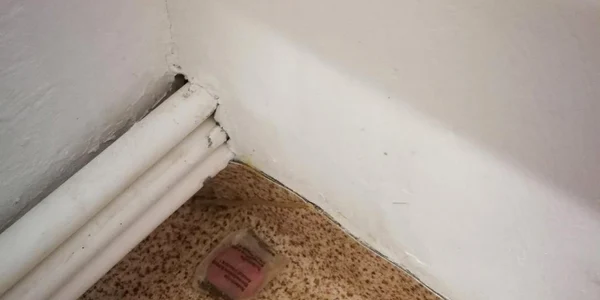 conditii inumane in carantina in salaj foto a.r