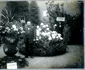 Prima expoziție horticolă organizată în România (© ANR, SANIC, colecția Documente Fotografice, album 9)