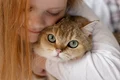 close up beautiful cat with little girl jpg