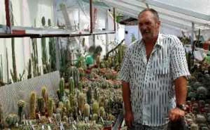 Braila: Omul care creşte peste 2000 de specii de cactus, achiziţionate într-o viaţă de om