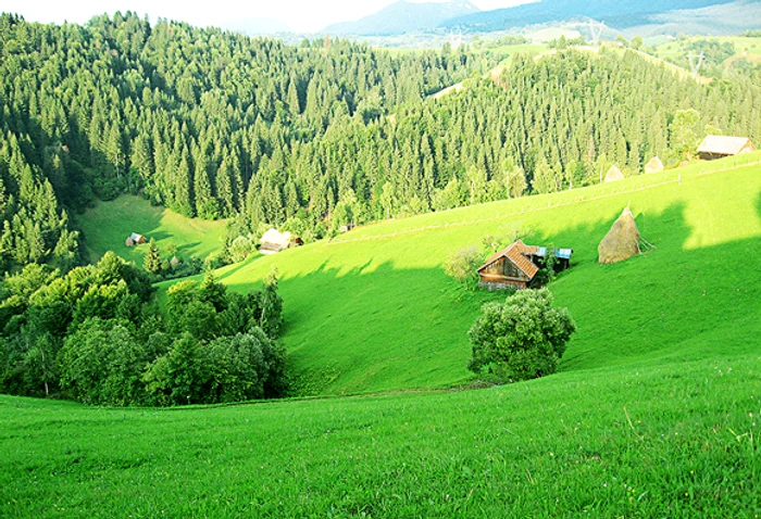 
    Prognoza meteo la munte în weekend ne spune că vremea este perfectă pentru relaxare sau drumețiifoto: Click!  