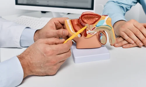 shutterstock 2287159457 jpg