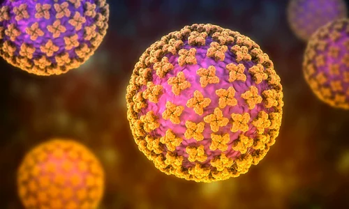 Hantavirus foto shutterstock