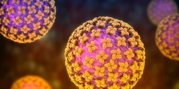 Hantavirus foto shutterstock