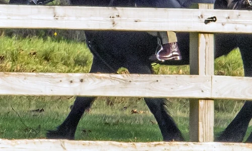 1 regina elisabeta calare 1 jpg jpeg