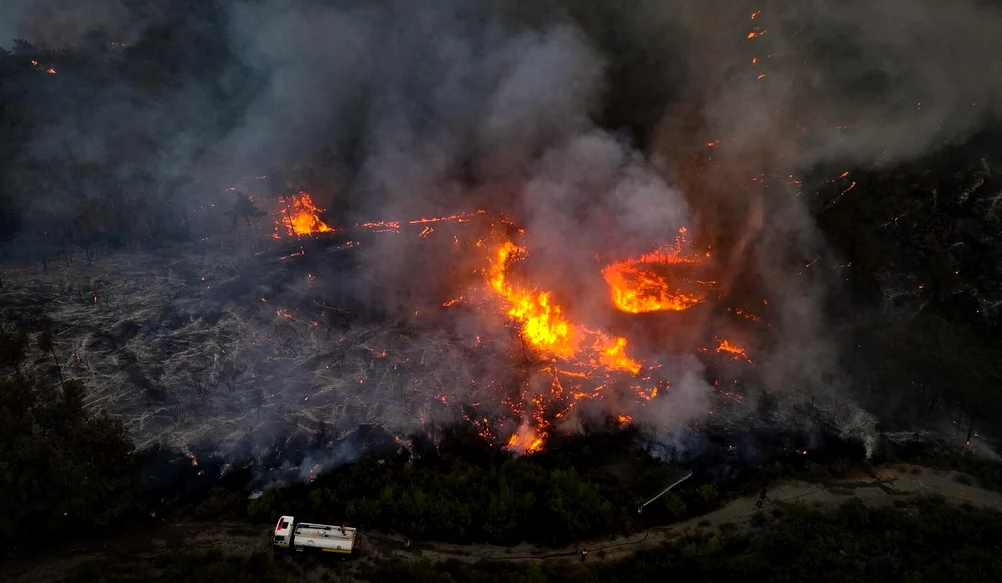 Incendiile de pădure din vestul Siriei continuă să facă ravagii FOTO: X