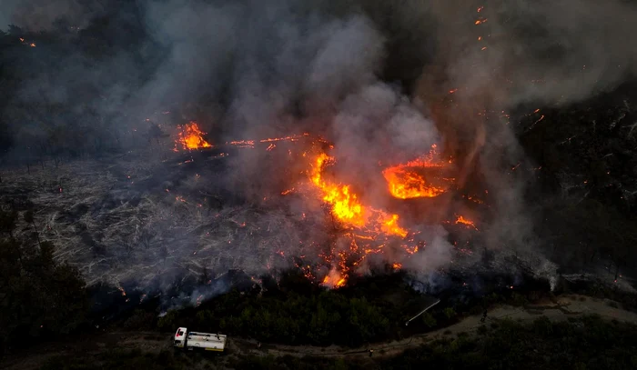 Incendiile de pădure din vestul Siriei continuă să facă ravagii FOTO: X