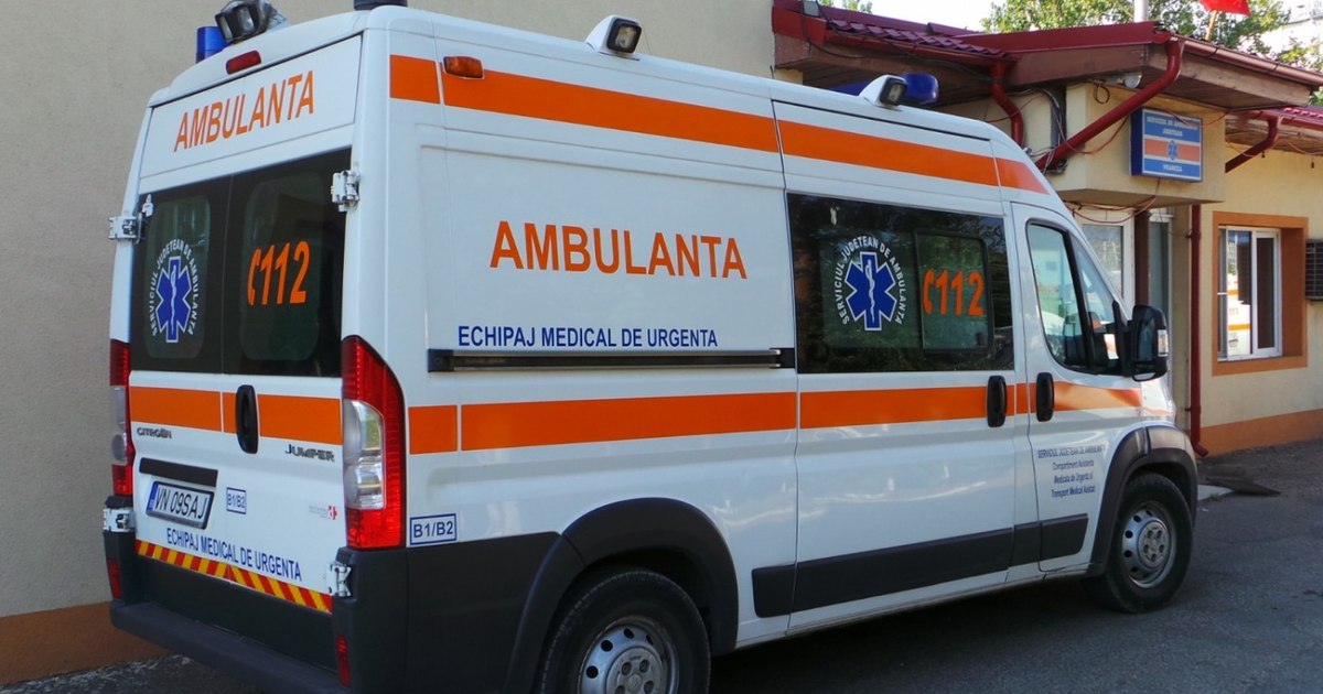 Tragedie în Vrancea: Un bătrân a murit sub un copac doborât de vânt