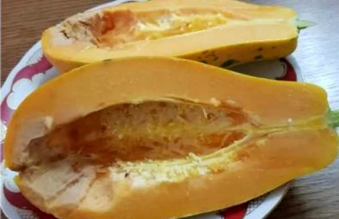 papaya sera alba