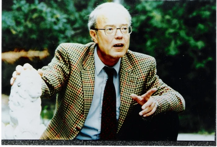 d20st 20in20gradina20sa20la20bucuresti20nr 33 jpeg