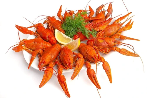 1 60649 original jpg jpeg