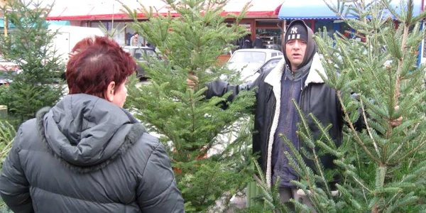 Comercianţii îşi etalau brazii în faţa cumpărătorilor