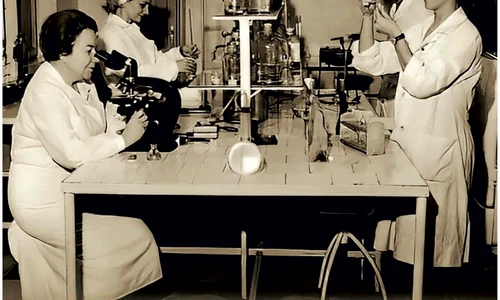 „Cercetarea medicală românească: succese, eșecuri, incertitudini (1969–1989)”, o nouă conferință din seria „Colocviile CNSAS”