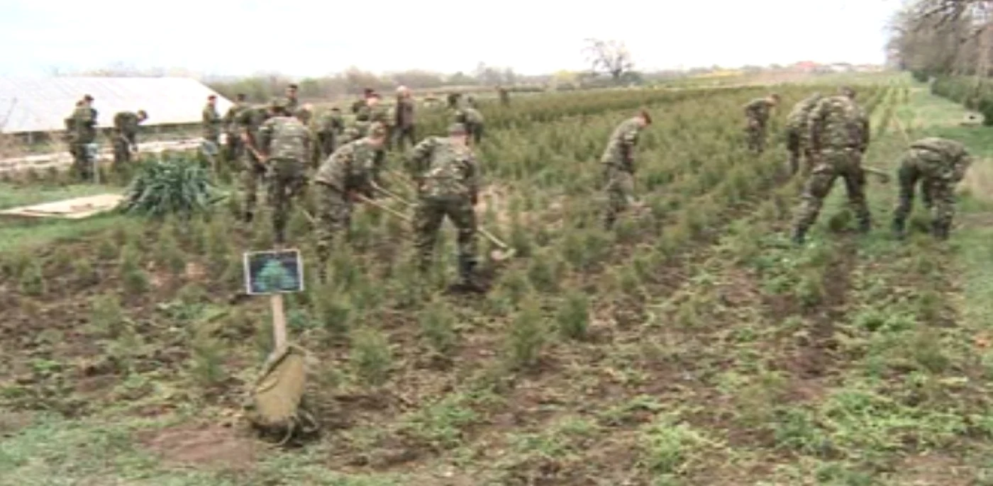 Militarii au săpat şi au plantat puieţi în zona Galata din Iaşi