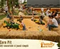 Family Farm Fest oferă experiențe de vis familiilor