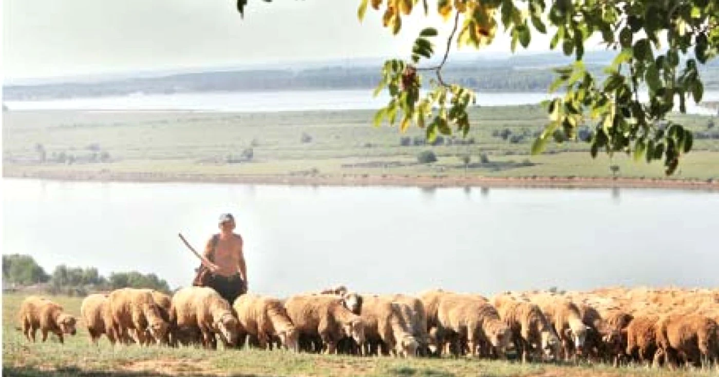Bărbatul a fost condamnat pentru ultraj (foto arhivă)